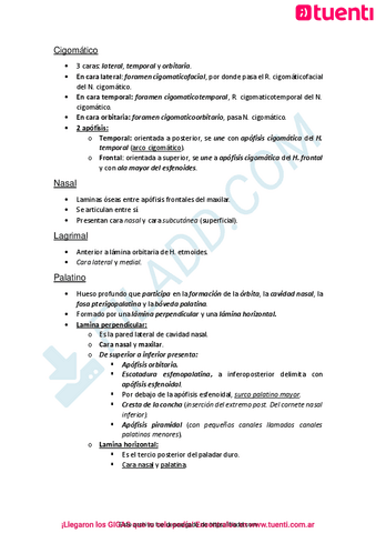 Linfaticos-Locomotor-4.pdf