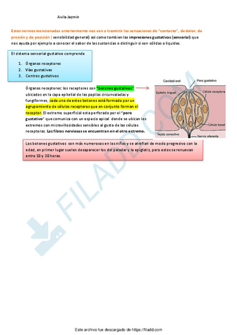 Linfaticos-Locomotor-5.pdf