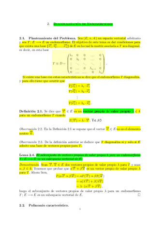 Tema-2-ordenador-Diagonalizacion-de-endomorfismos.pdf