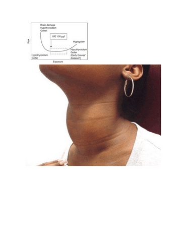 S3-Nutri-basica-II-2020.pdf