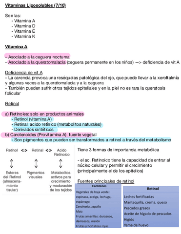 Nutricion-Basica-II-S2.pdf