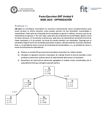 Pauta-Solemne-3-Opti-2021.pdf