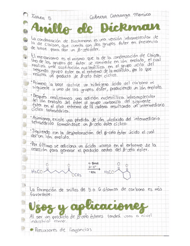 Anillo-Dieckmann.pdf