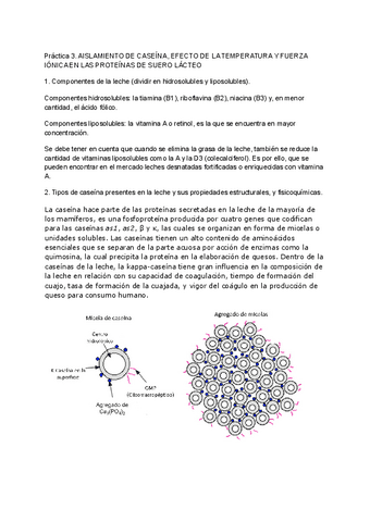 Cuestionario-3.-Aislamiento-de-proteinas.pdf