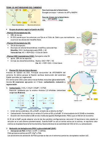 TEMA-10-18-Diapositivas.pdf