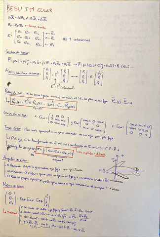 Resumen-T.11-Euler.pdf