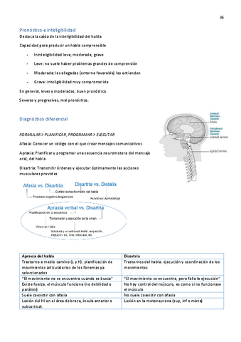 Correcion-Disartria.pdf