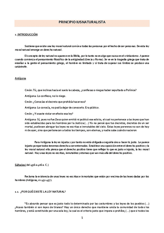 Principio-iusnaturalista.pdf