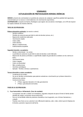 SEMINARIO 1 Actualización de protocolos en heridas  crónicas BIEN.pdf