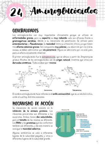 Tema-24.-Aminoglucosidos.pdf