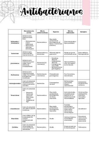 Tema-26.5.-Resumen-antibacterianos.pdf