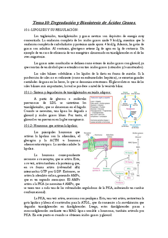 Tema-10-ByM.pdf