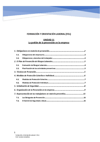 APUNTES-UNIDAD-11.pdf