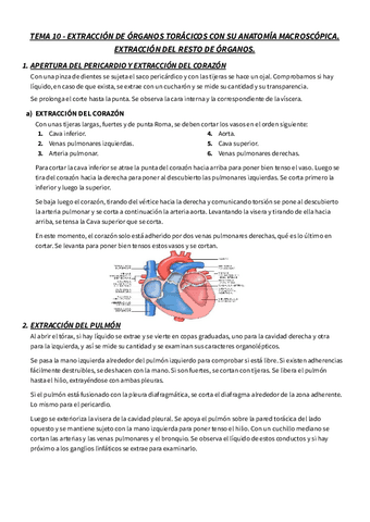 T.10-RESUMEN-NECRO-EXTRACCION-DE-ORGANOS-TORACICOS-CON-SU-ANATOMIA-MACROSCOPICA.pdf