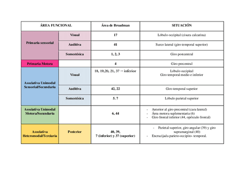 Tabla-areas-de-Broadman.pdf