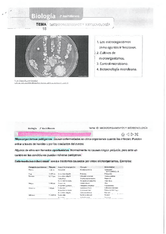 tema-18-Biologia-2o-Bachiller.pdf