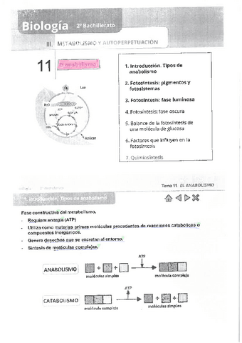 Tema11.-Biologia.-2o-Bachiller.pdf