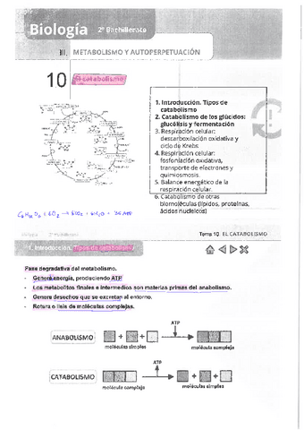 Tema-10.-Biologia-2o-Bachiller.pdf