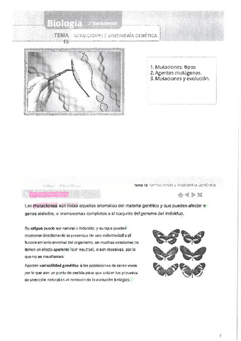 Tema-15.-Biologia-2o-Bachiller.pdf