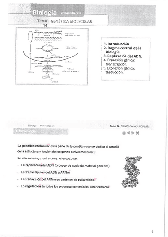 Tema-14.-Biologia-2o-Bachiller.pdf