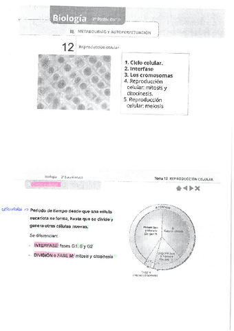 Tema-12.-Biologia-2o-Bachiller.pdf