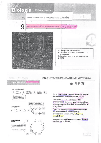 Tema-9.-Biologia-2o-bachiller.pdf