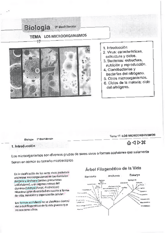 Tema-17-Biologia-2o-Bachiller.pdf