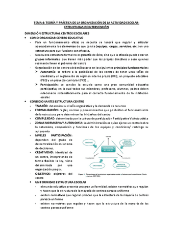 TEMA-4-TEORIA-Y-PRACTICA-DE-LA-ORGANIZACION-DE-LA-ACTIVIDAD-ESCOLAR-ESTRUCTURAS-DE-INTERVENCION.pdf