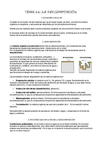 T16-Descomposicion.pdf