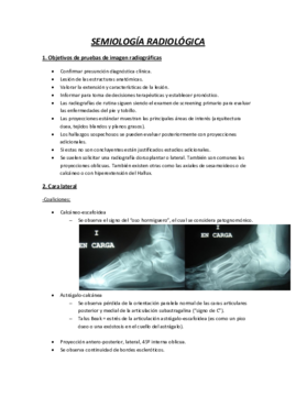 SEMINARIO 11 Semiología radiológica.pdf