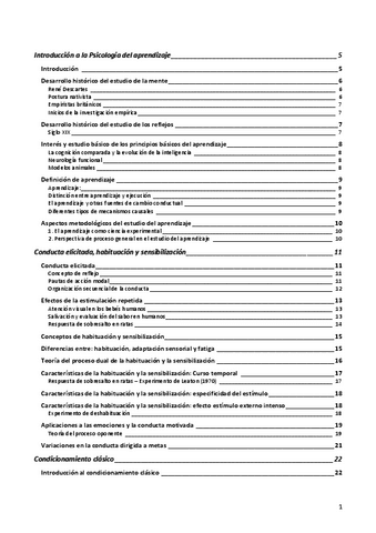 APUNTES-APRENDIZAJE.pdf