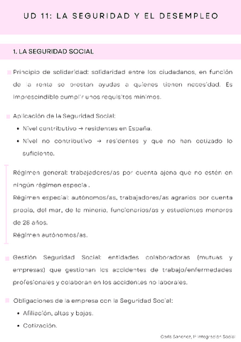 Resumen-UD-11-La-seguridad-y-el-desempleo.pdf