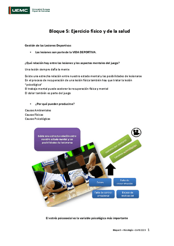 Apuntes-del-Bloque-5.-Ejercicio-fisico-y-salud.pdf