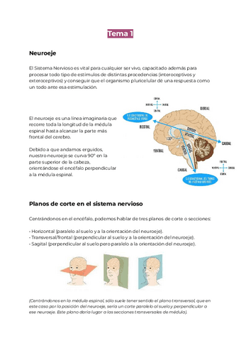 Tema-1.pdf