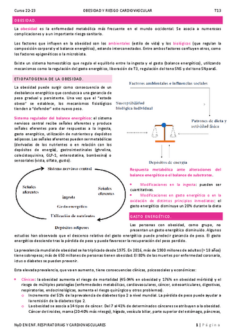 T13.-Obesidad-y-Riesgo-Cardiovascular.pdf
