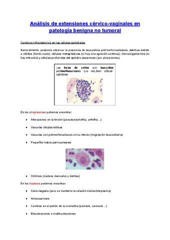 Analisis-de-extensiones-patologicas-no-tumorales.pdf