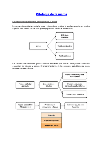 Citologia-de-la-mama.pdf