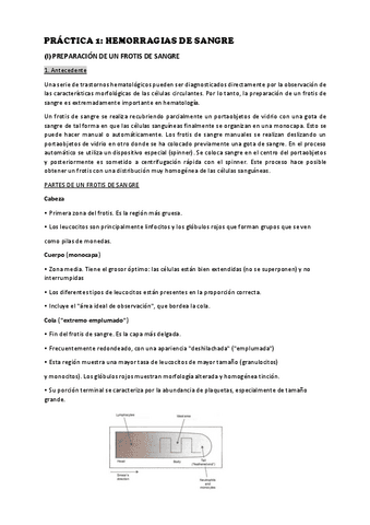 practicas-en-espanol.pdf