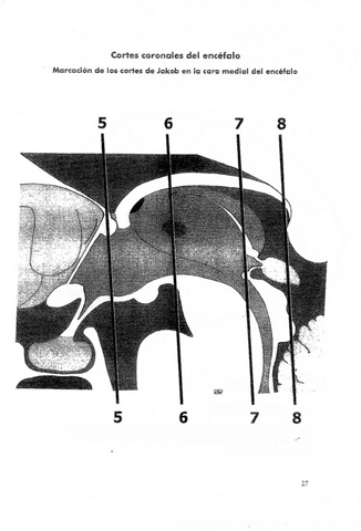 ilovepdfmerged-13.pdf