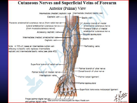 ilovepdfmerged-26.pdf