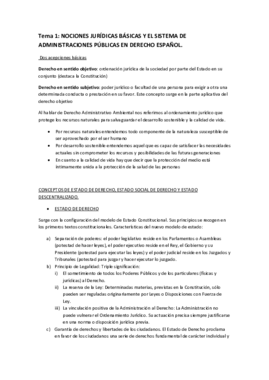 derecho administrativo completo.pdf