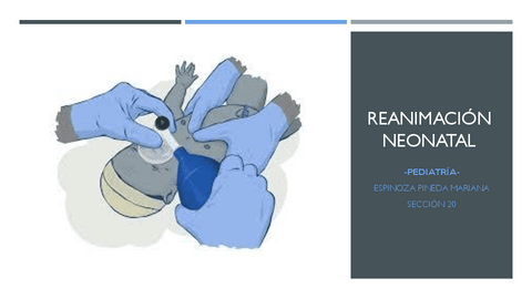 Reanimacion-Neonatal.pdf