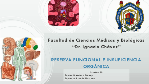 Reserva-funcional-e-insuficiencia-organica.pdf