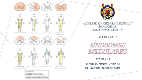 Sindromes-Medulares.pdf