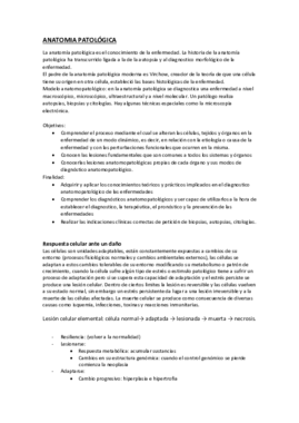 TEMA 1 Y 2 TERMINADO.pdf