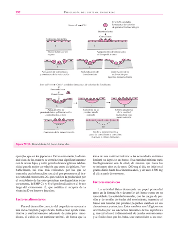 libro123-52.pdf