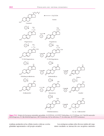 libro123-53.pdf