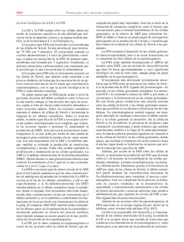 libro123-54.pdf