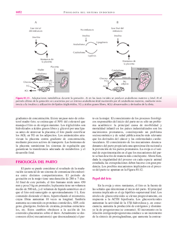 libro123-55.pdf