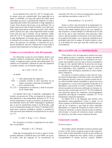 libro123-56.pdf